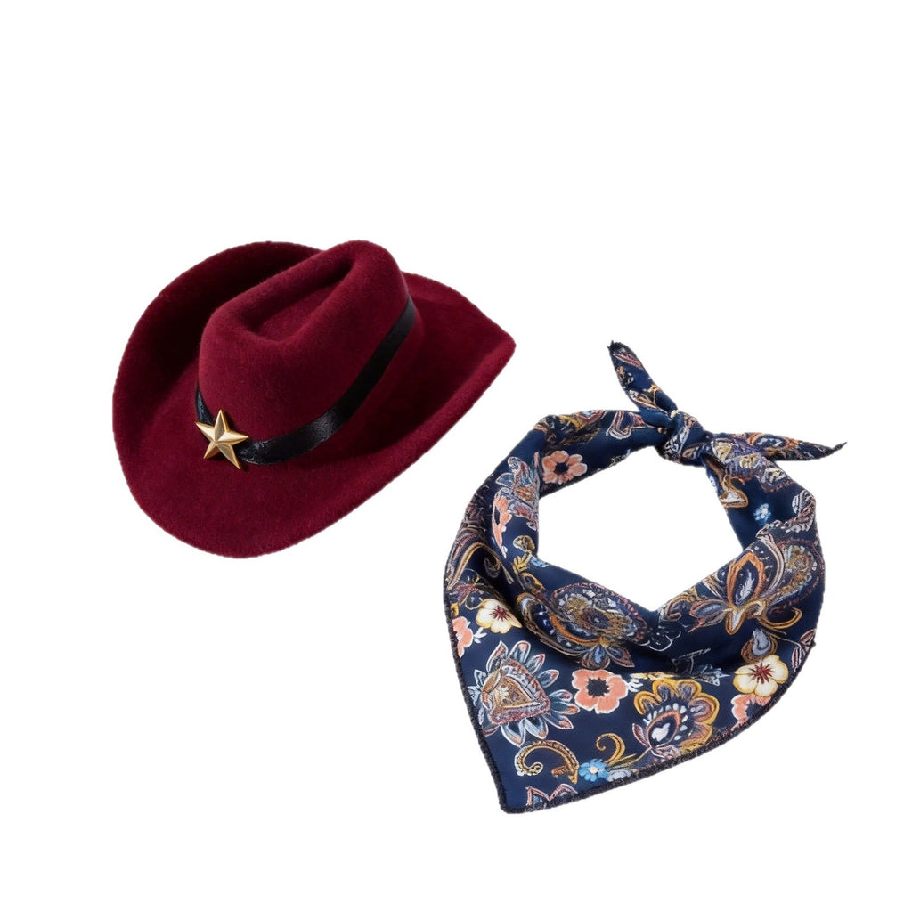 Western Cowboy Pet Hat