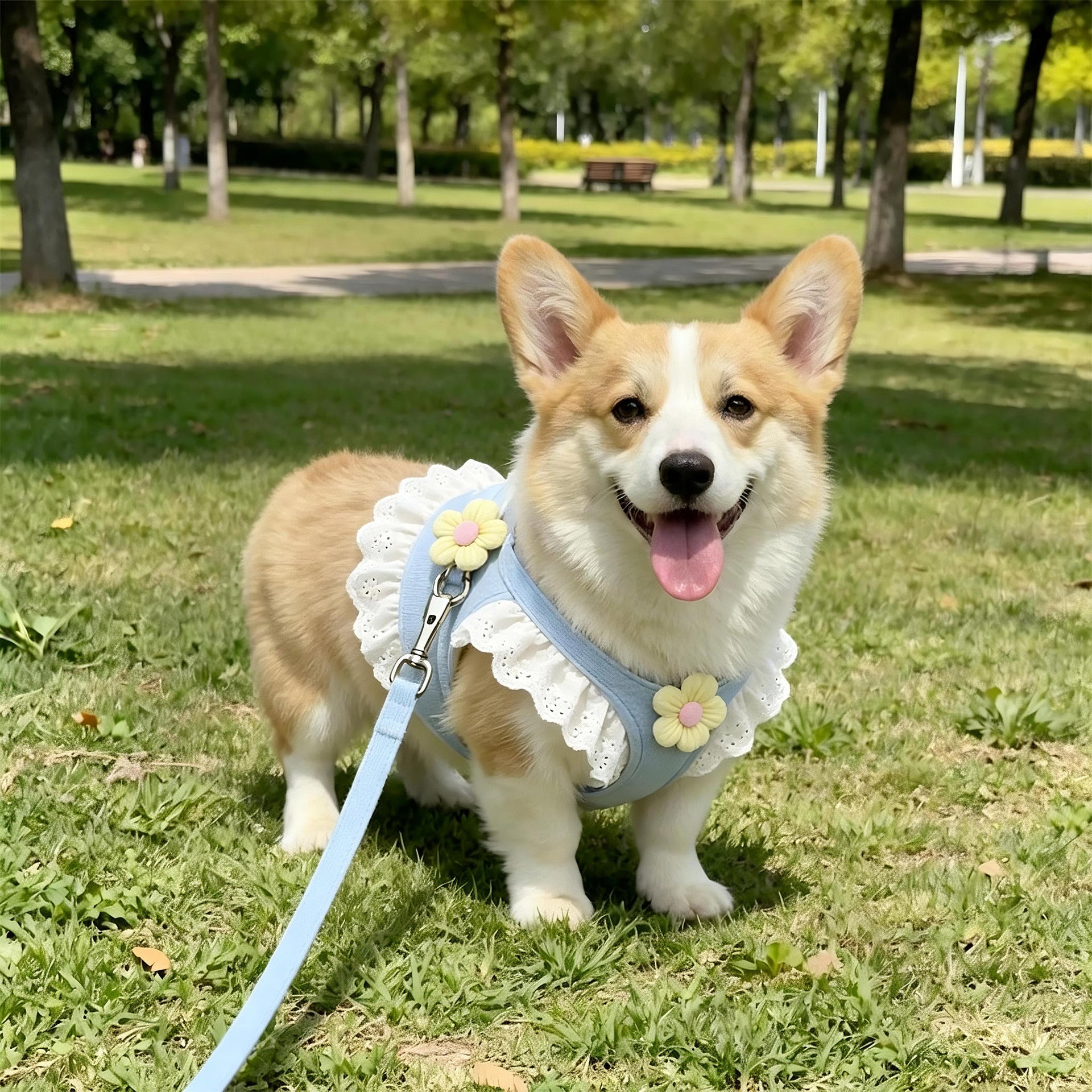 Adjustable Pet Harness and Leash Set for Cats & Small Dogs