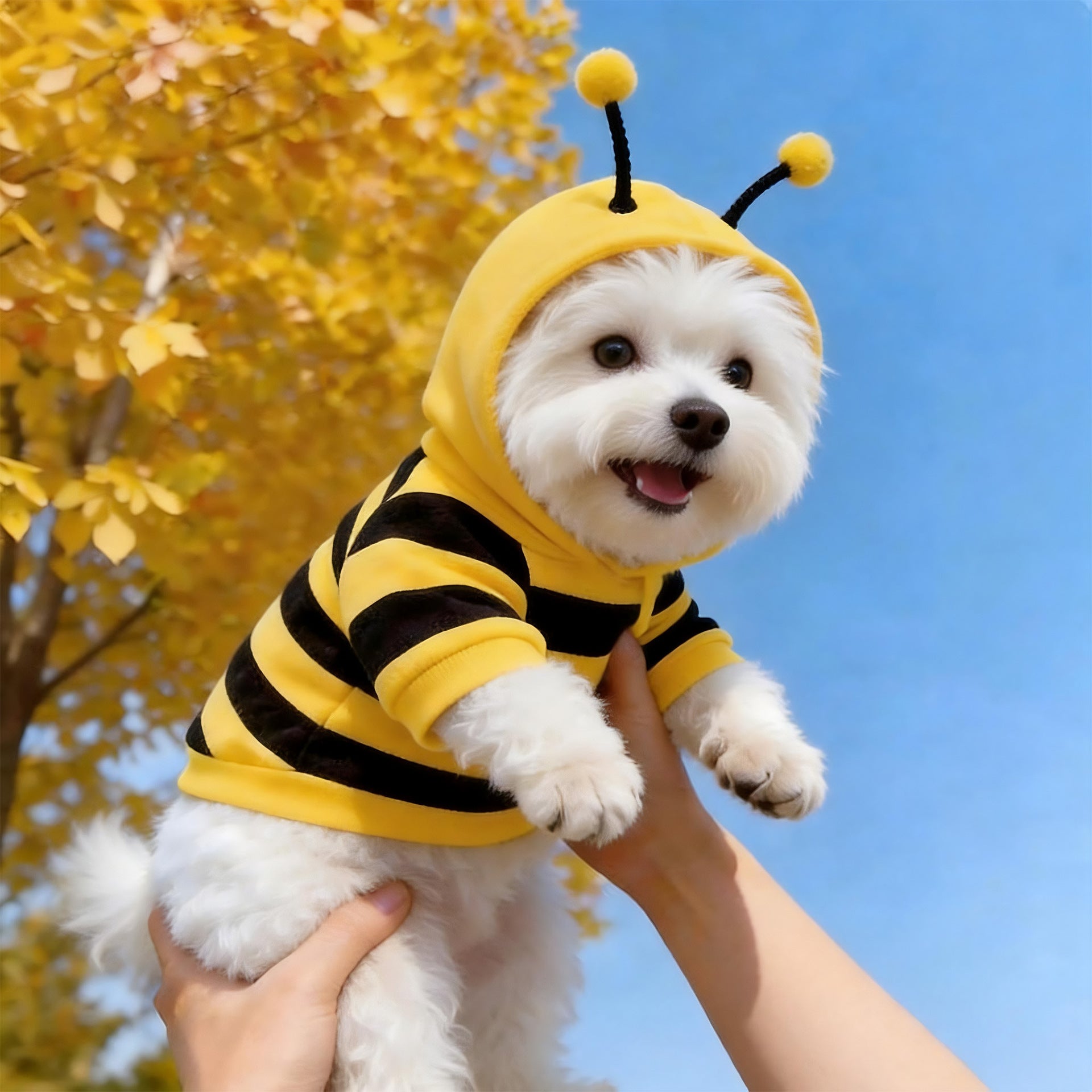 Bee-Themed Fleece Pet Sweater for Small Dogs