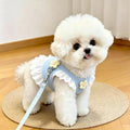 Adjustable Pet Harness and Leash Set for Cats & Small Dogs