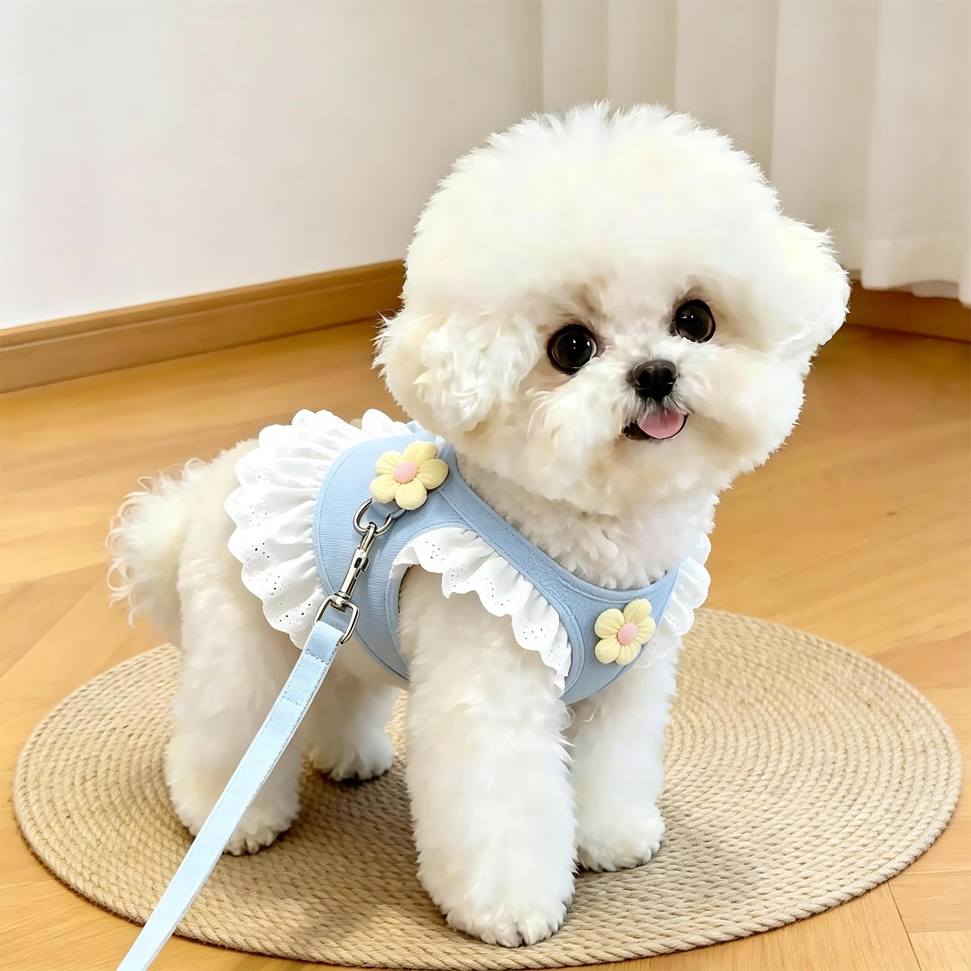 Adjustable Pet Harness and Leash Set for Cats & Small Dogs