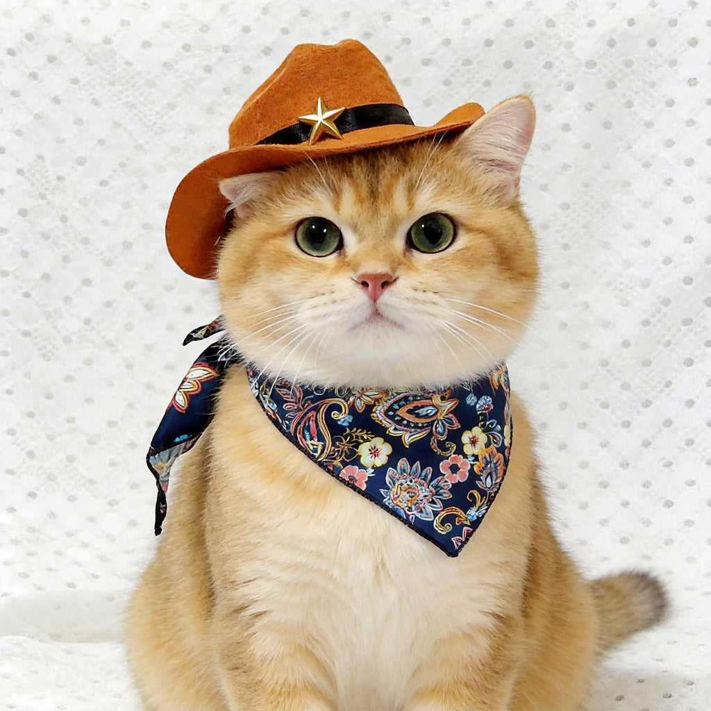 Western Cowboy Pet Hat