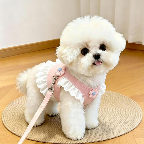 Adjustable Pet Harness and Leash Set for Cats & Small Dogs